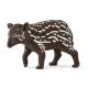 JEUNE TAPIR