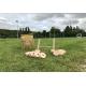 SNOOTY - JEU DE RUGBY EN BOIS