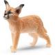 JEUNE CARACAL - SCHLEICH