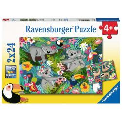 PUZZLE 2X24 PCS - KOALAS ET PARESSEUX