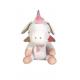 LICORNE AIR PUMP