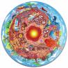 PUZZLE UNDERGROUND WORLD - HAPE