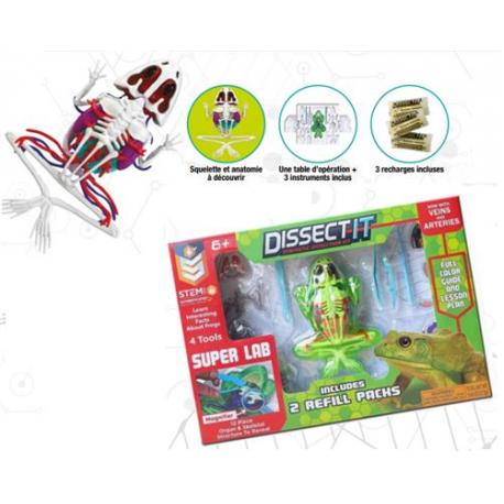 DISSECT-IT - GRENOUILLE SLIME + TABLE DE DISSECTION