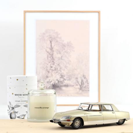 CITROËN DS 21 LORRAINE 1969 CHAMPAGNE 1/18