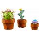 10329 LEGO - LES PLANTES MINIATURES