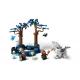 76432 LEGO - LA FORET INTERDITE : LES CREATURES MAGIQUES