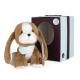 PELUCHE - LES AMIS CHIEN TIRAMISU MEDIUM