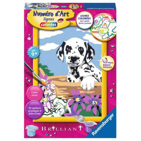 NUMERO D'ART PETIT - BEBE DALMATIEN 